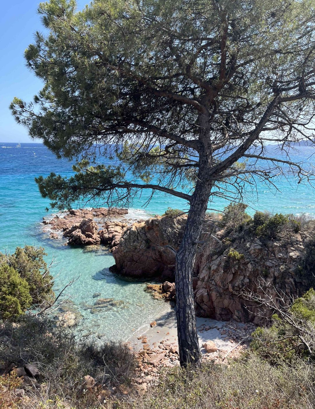 Plage de Palombaggia, corse du sud, proche bergerie à la location estivale