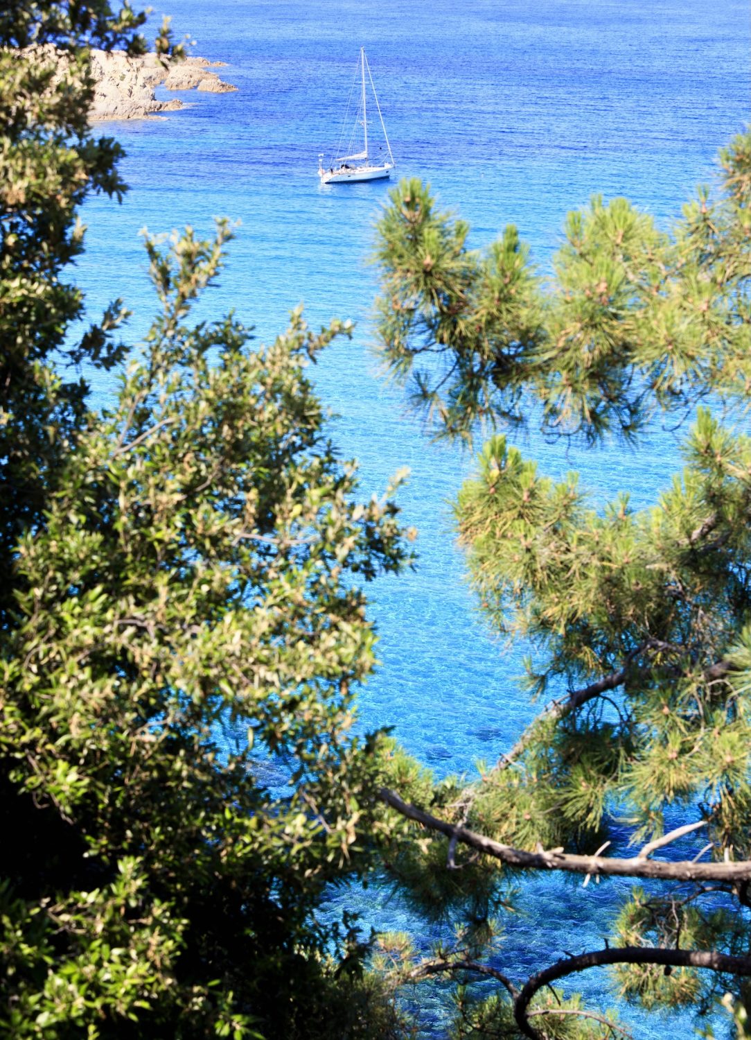Sailing boats at Cannella, Corsica, France. Cannella is situated on the south-eastern part of the island of Corsica in the Mediterranean Sea.
