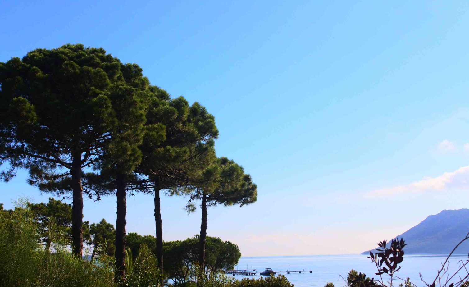 Pinède à Porto-Vecchio